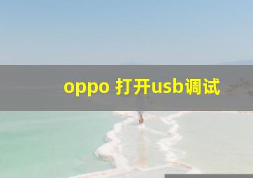 oppo 打开usb调试